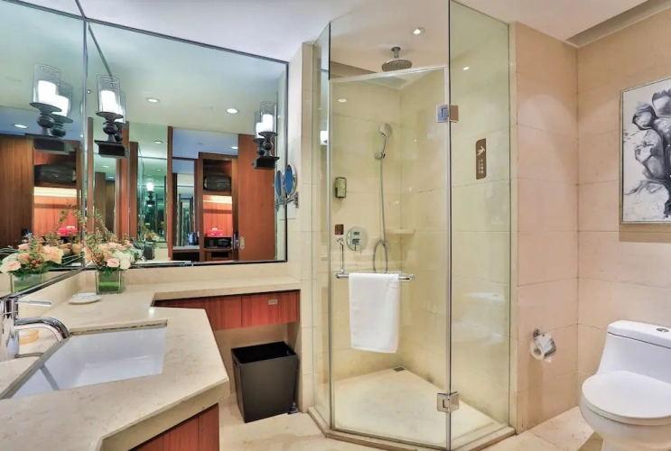 Deluxe Twin room with city view