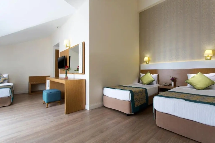 Standard (bathtub is not guaranteed) Triple room