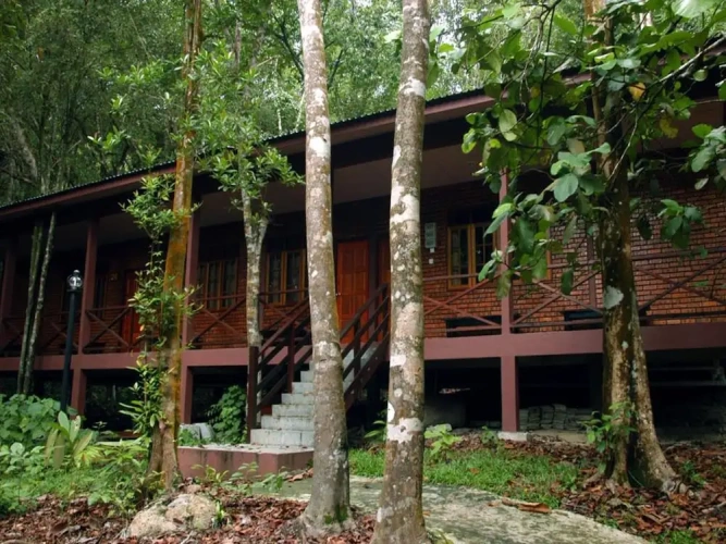 Standard Single room with balcony