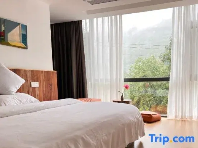Standard Double room with mountain view
