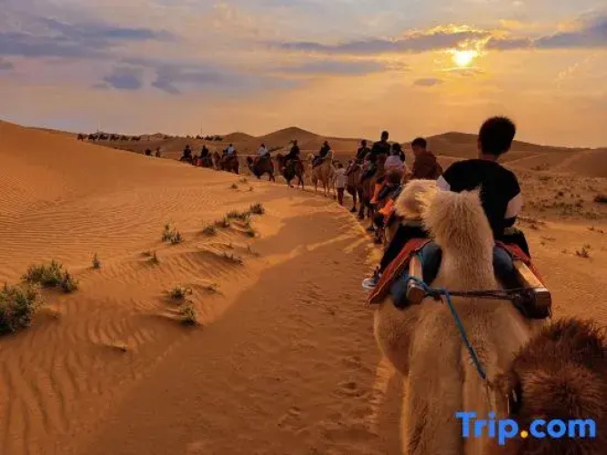 Xingyue Luxury Camping Site