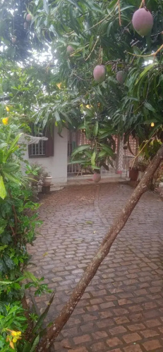Pousada Dos Henriques
