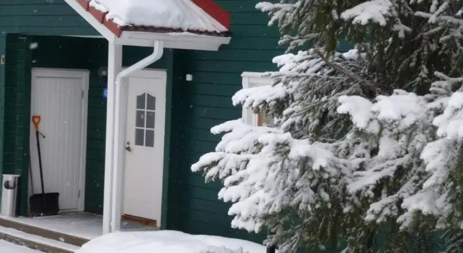 Larus Vuokatti Cottages