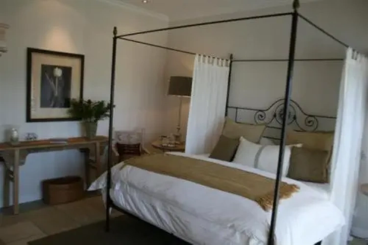 Luxury Suite with view