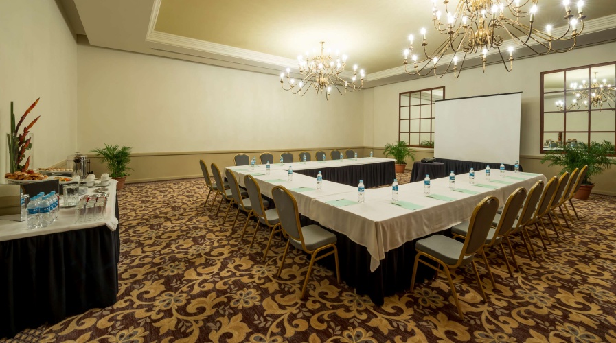 HS HOTSSON Hotel Tampico photo 24