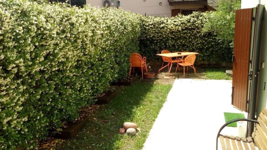 Onion Home