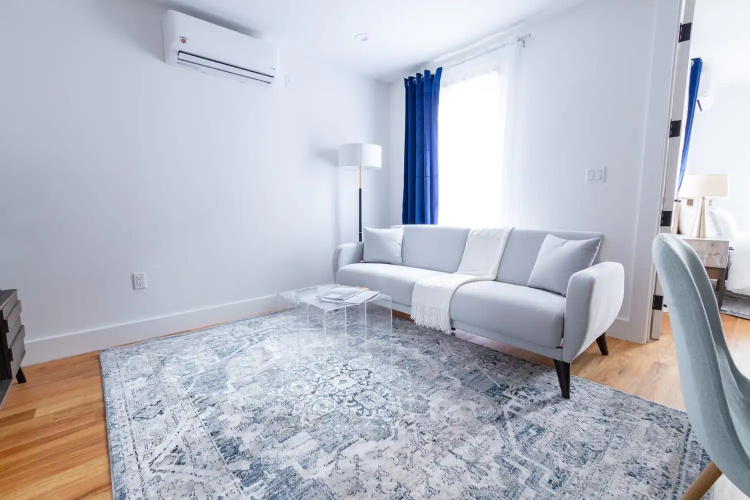 323-2 Specious 2BR Williamsburg