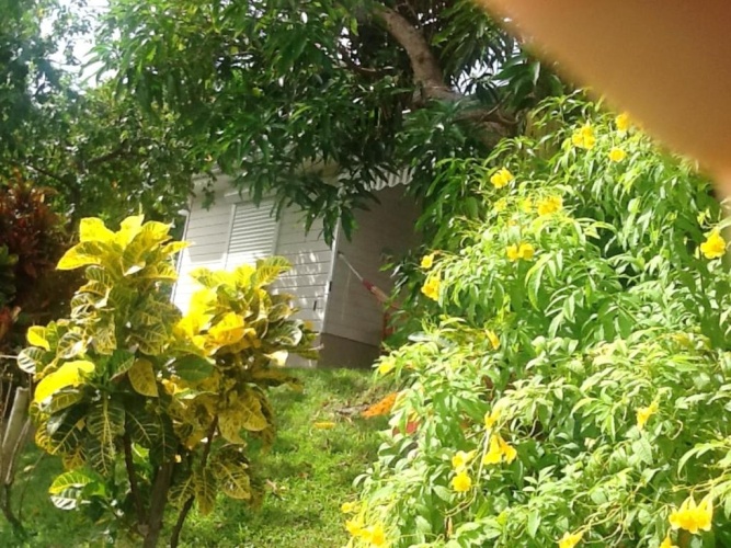 Outside