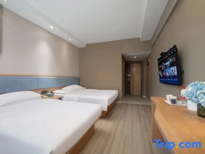 Standard Double Family room