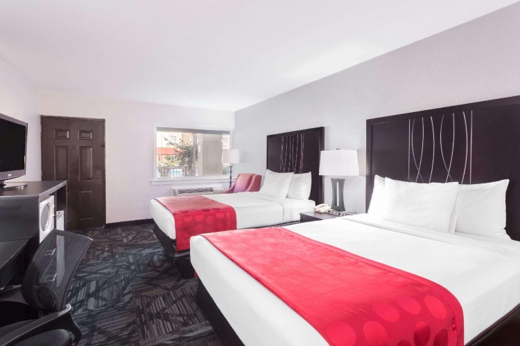 Standard Quadruple room