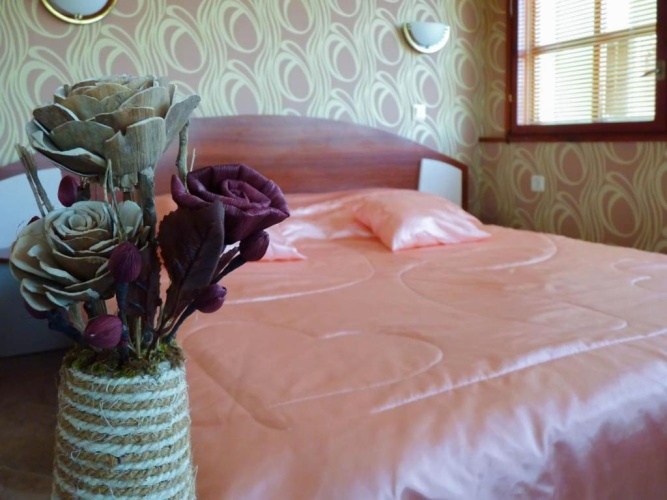 Standard Double room with balcony and with view