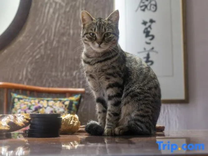 Xihe Nanshu