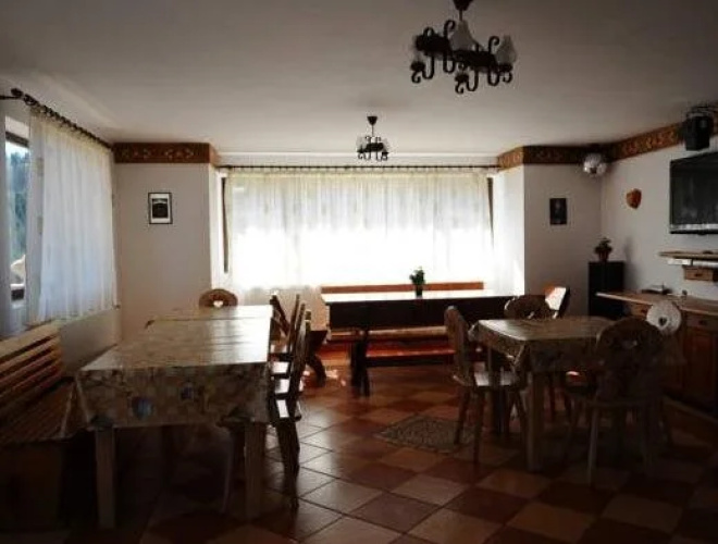 Vila Paltinis