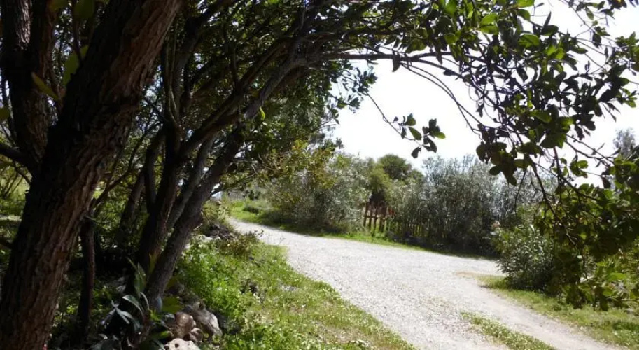 Sa Stella E Monti