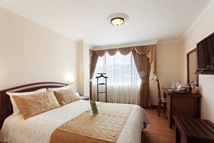Standard Double room with balcony and with view