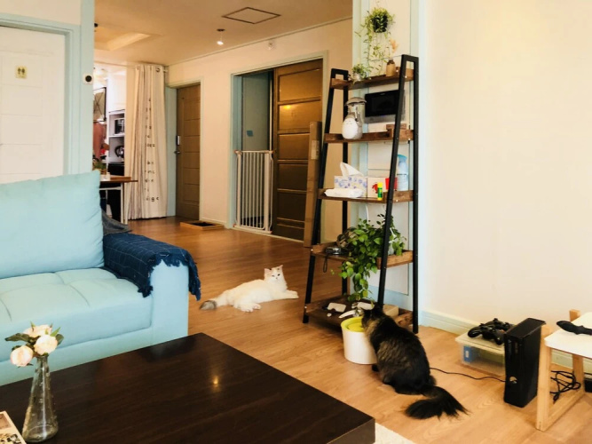 Mint Paradise Guesthouse