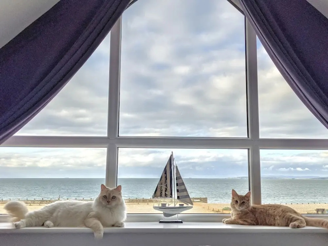 Ocean View