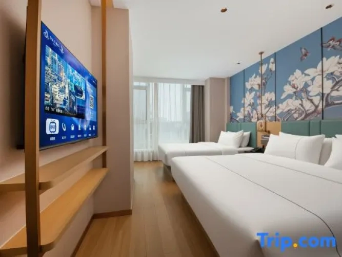 Standard Quadruple Suite