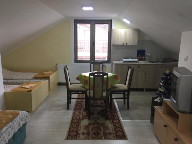 Studio with balcony and with view