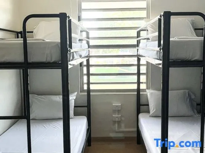 Bed in Dorm