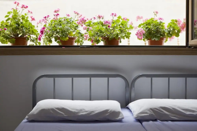 Albergue Albas - Hostel