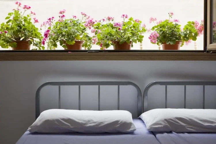 Bed in Dorm