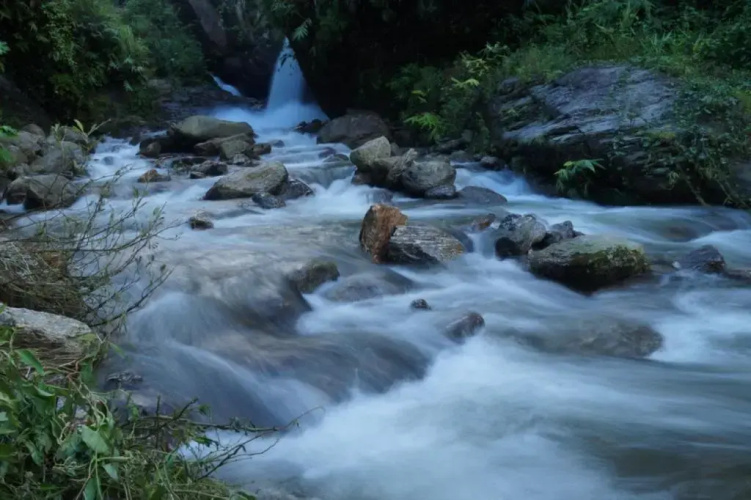 Tathagata Farm