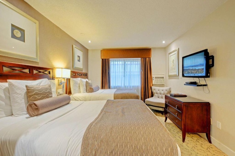 1 Bedroom Quadruple Suite