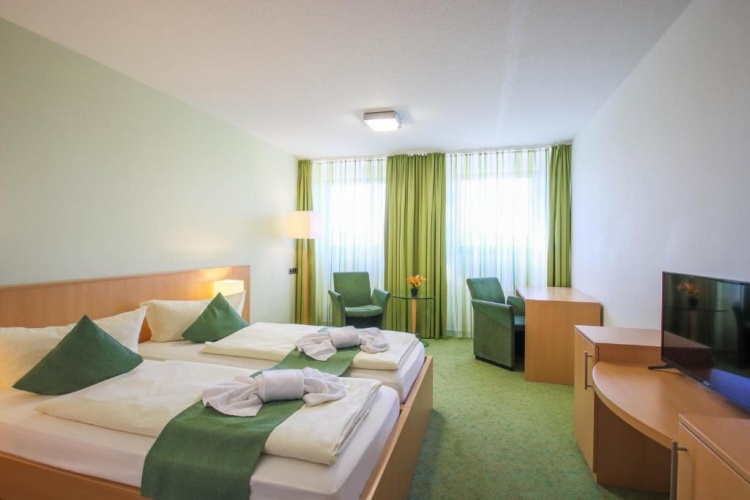 Standard Double room with mountain view