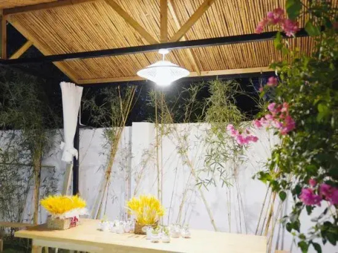 Cover yard homestay