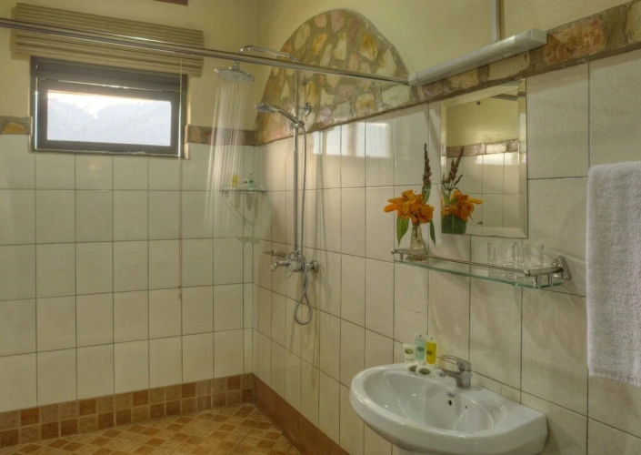 Standard Single room with mountain view