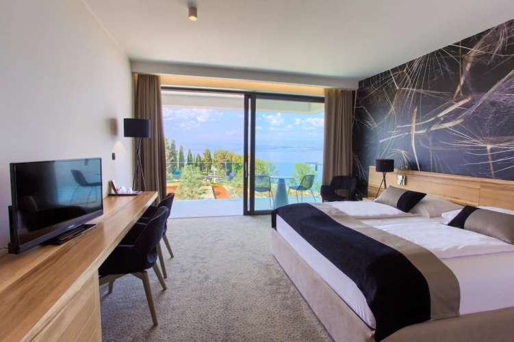 Superior Double room with balcony and with garden view