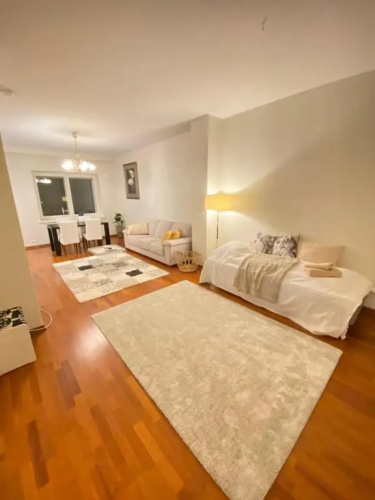 Cozy city apartment