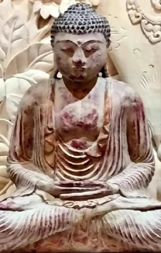 The Zarafa