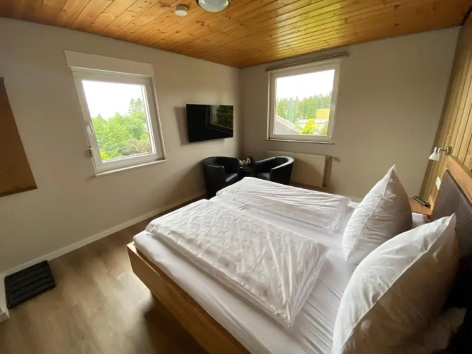 Comfort Double room with balcony and with view