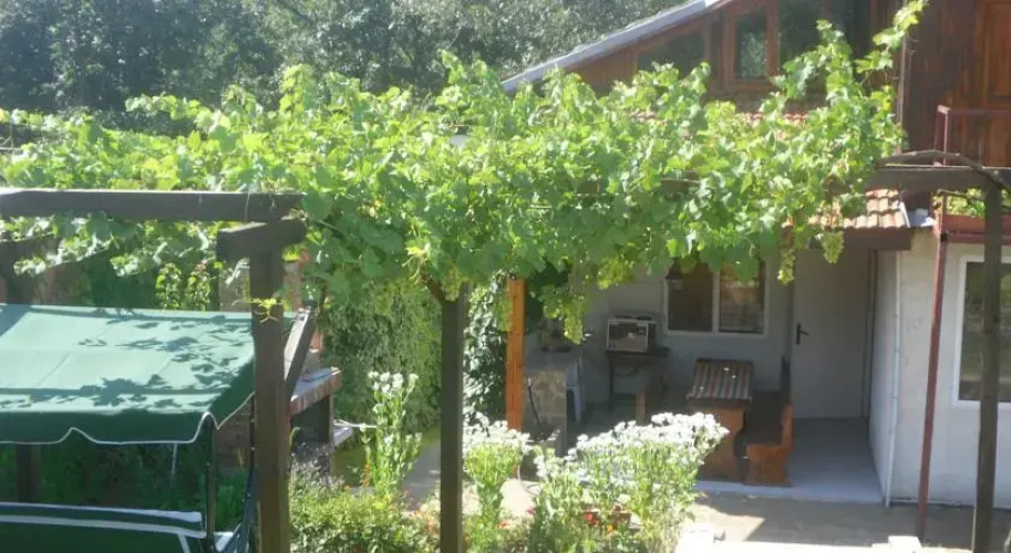 Guest House Milena Sinemorets