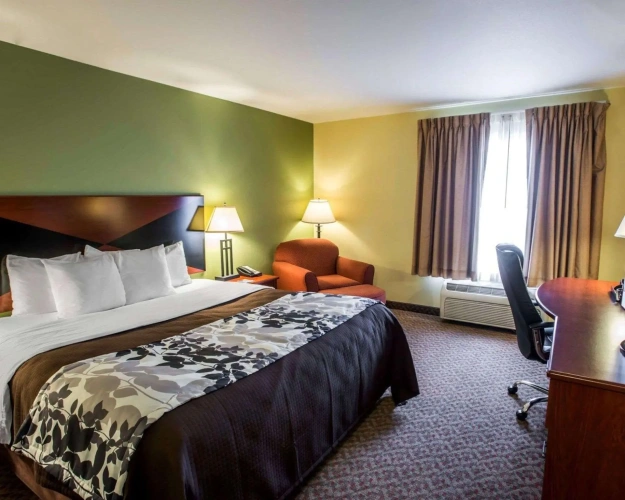 Standard Double room