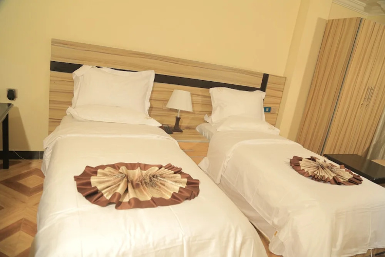 New Vision Addis Hotel