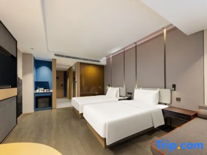 Executive Twin room