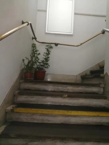 hostal mancora monjitas 755