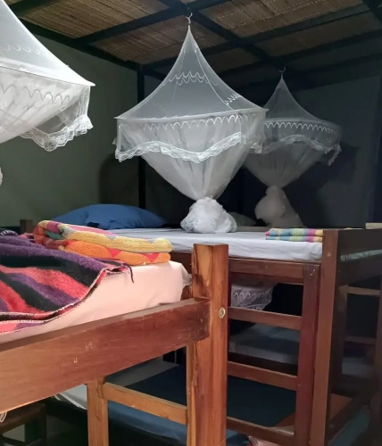 Bed in Dorm