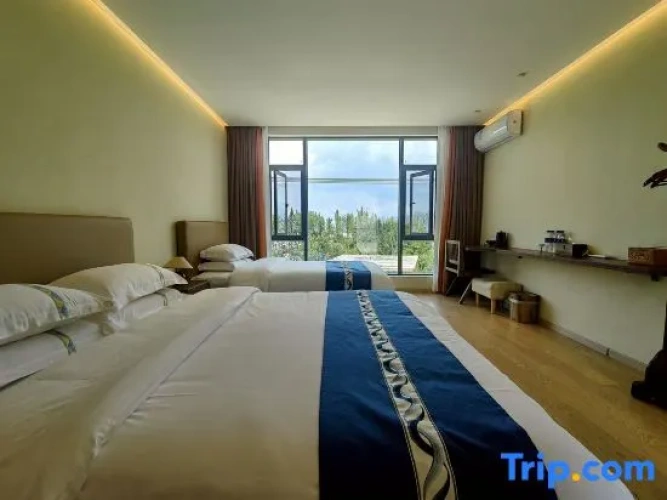 Deluxe Double room with ocean view