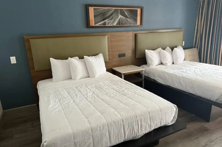 1 Bedroom Suite