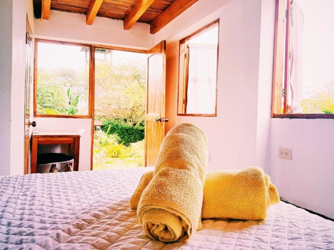 Standard Double room with garden view