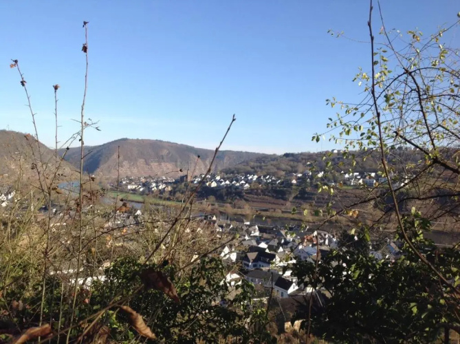 Bauernstube Scheidterhof