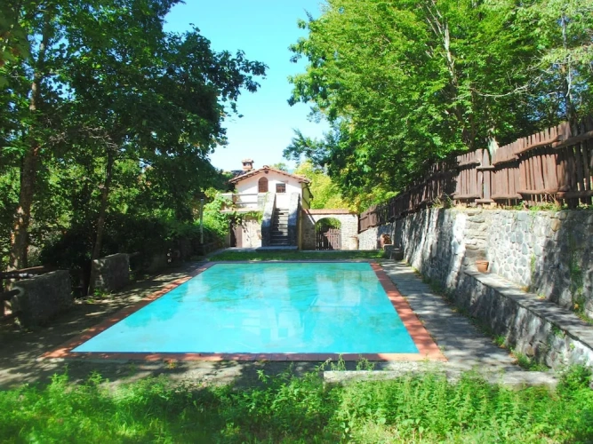 Cottage