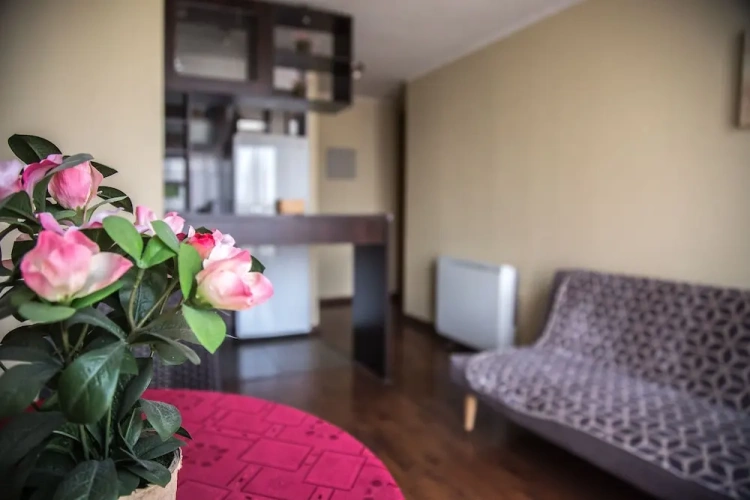1 Bedroom Royal Apartment with city view