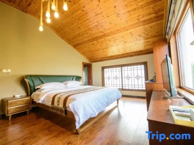 1 Bedroom Standard Double room