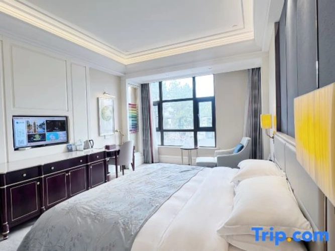 Standard Double room with mountain view