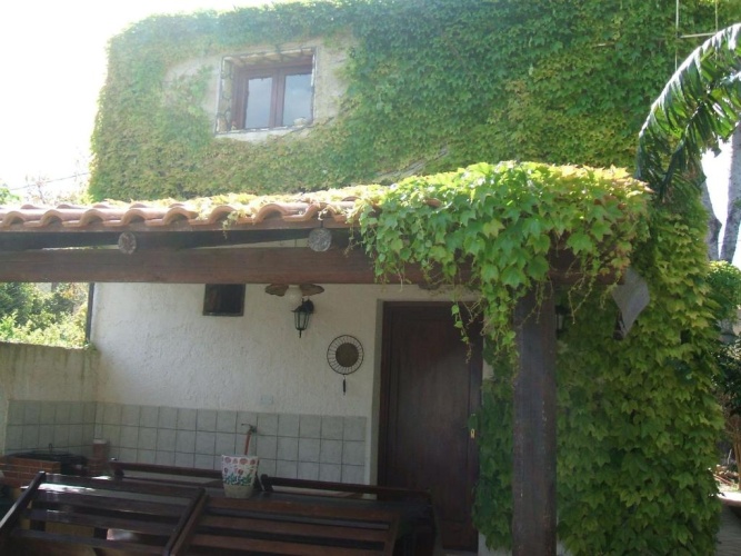 Duplex Apartment